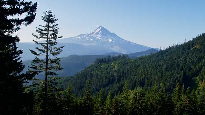 PCT 2019: Day 90, Wahtum Lake to Muddy Fork | Hike with Gravity