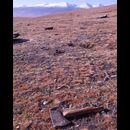 China Tibetan Sky Burial 3