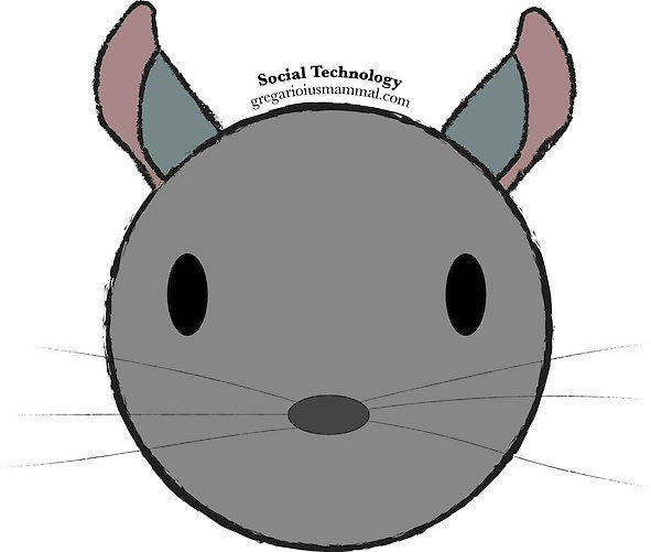 Social Technology