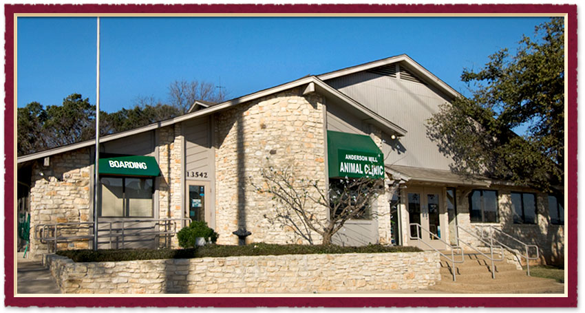 austin veterinary location