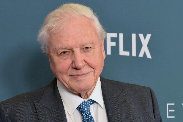 image from David Attenborough