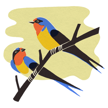 BESIDE_BIRDS_2021_barn_swallow.png