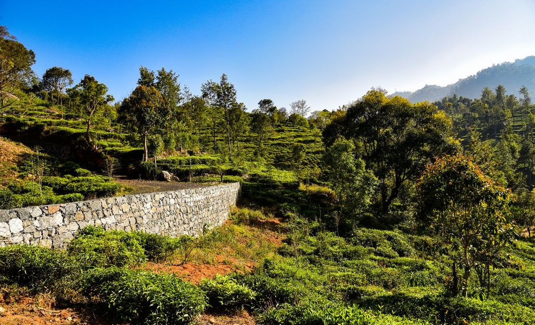 Vista Chiaro Plots | Kotagiri, Aravenu, Coonoor