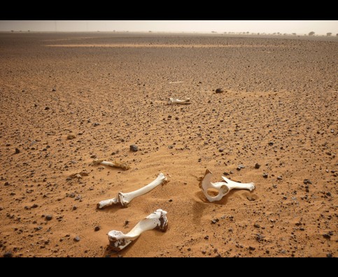 Sudan Desert Walk 2