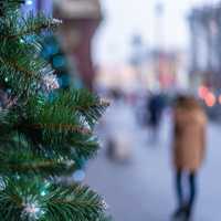 Best time to buy artificial christmas trees