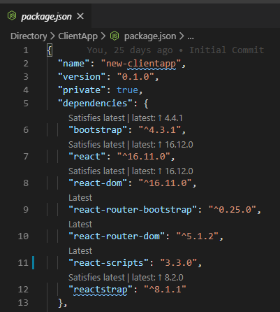 Version Lens output of package.json file