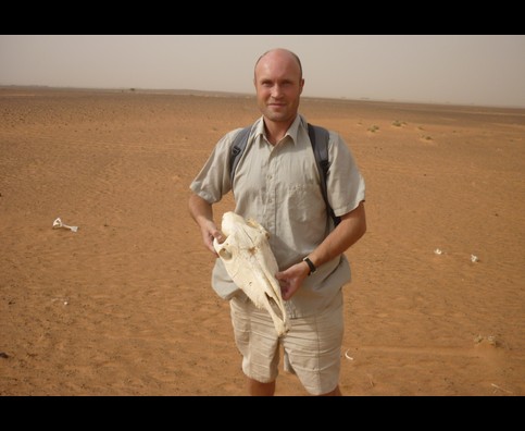 Sudan Desert Walk 1