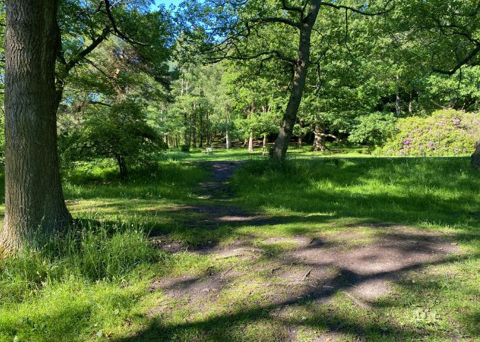 Golden Acre Park Path Golden Acre Park Path