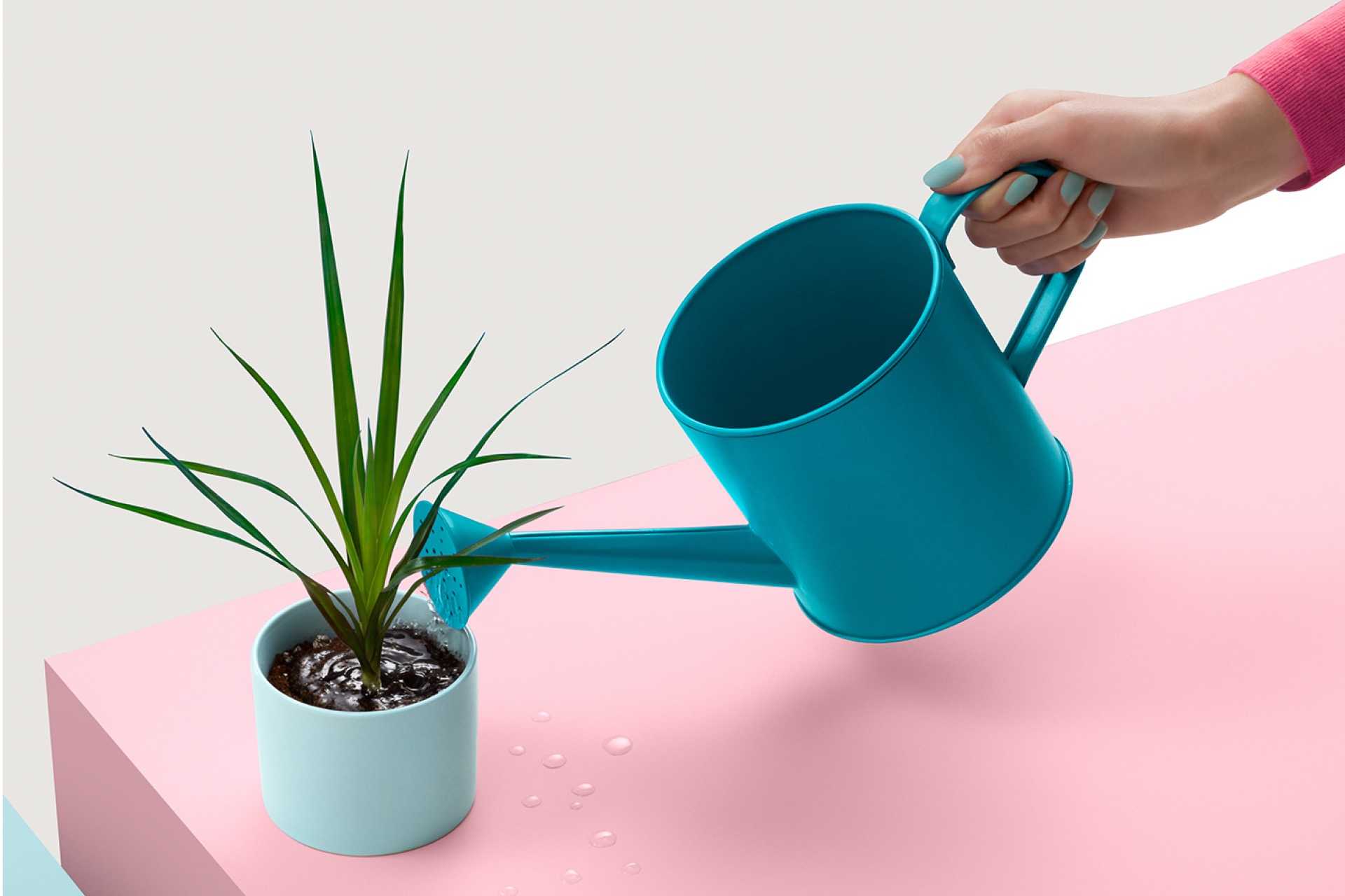 Product discovery blogs 2021