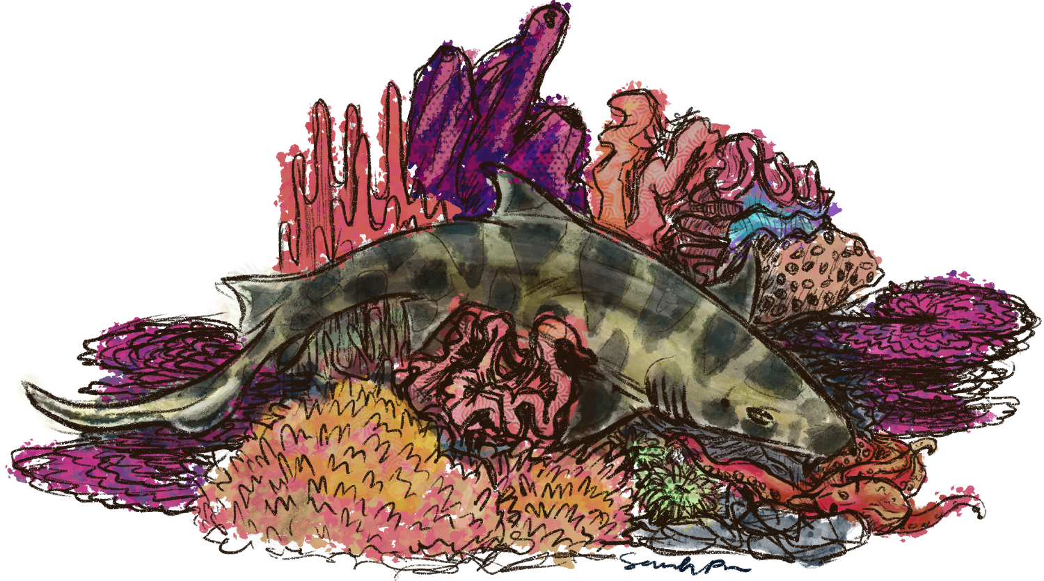 Popov EcoData From the Mountaintops to the Deep Sea Mapping