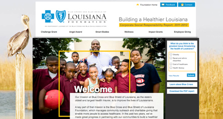 Web-Based CSR Reporting