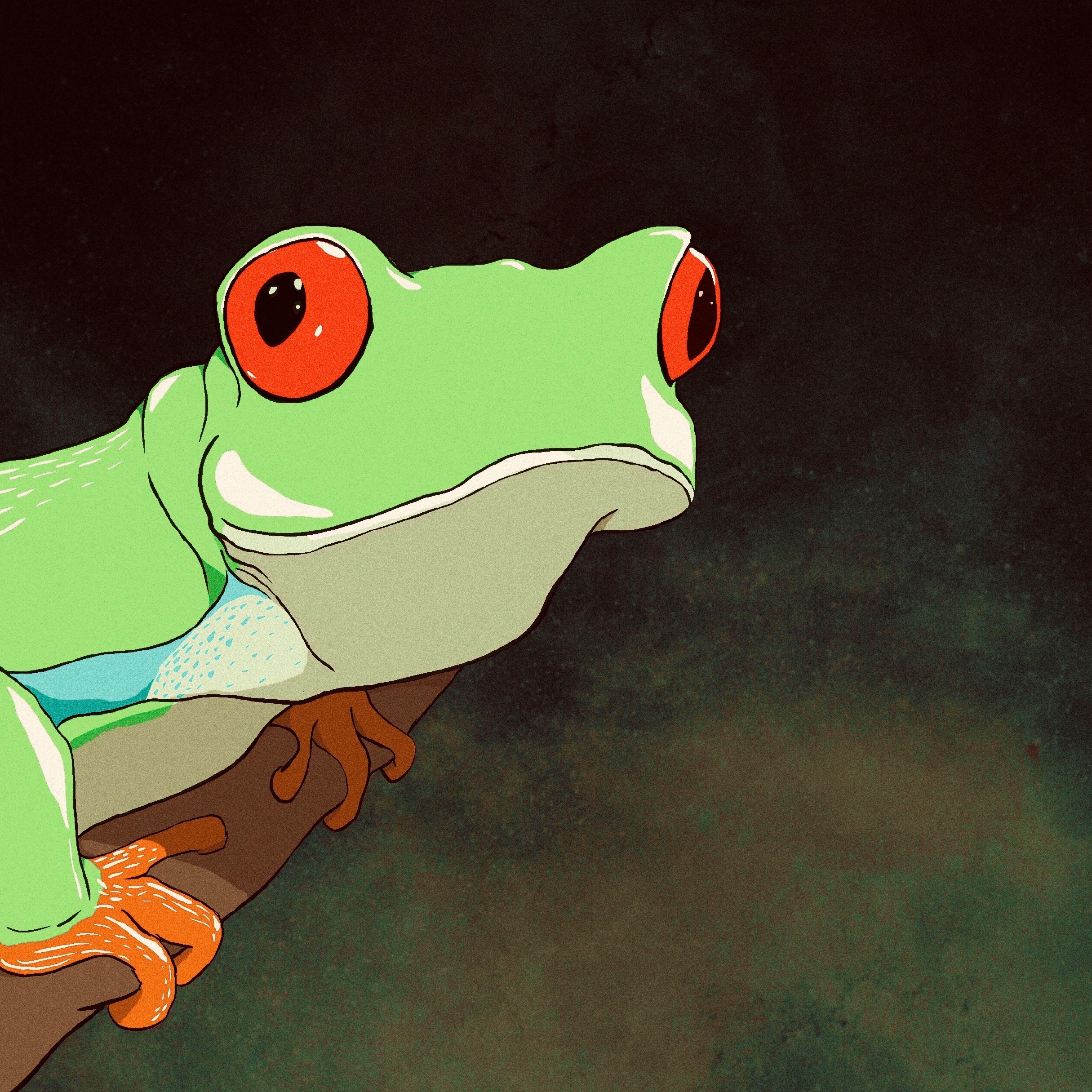 frog in space illustration