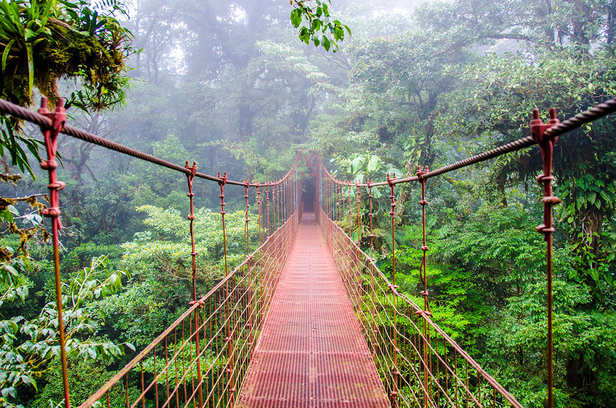A suspension bridge runs through a dream-like cloud forest in Monteverde, Costa Rica.