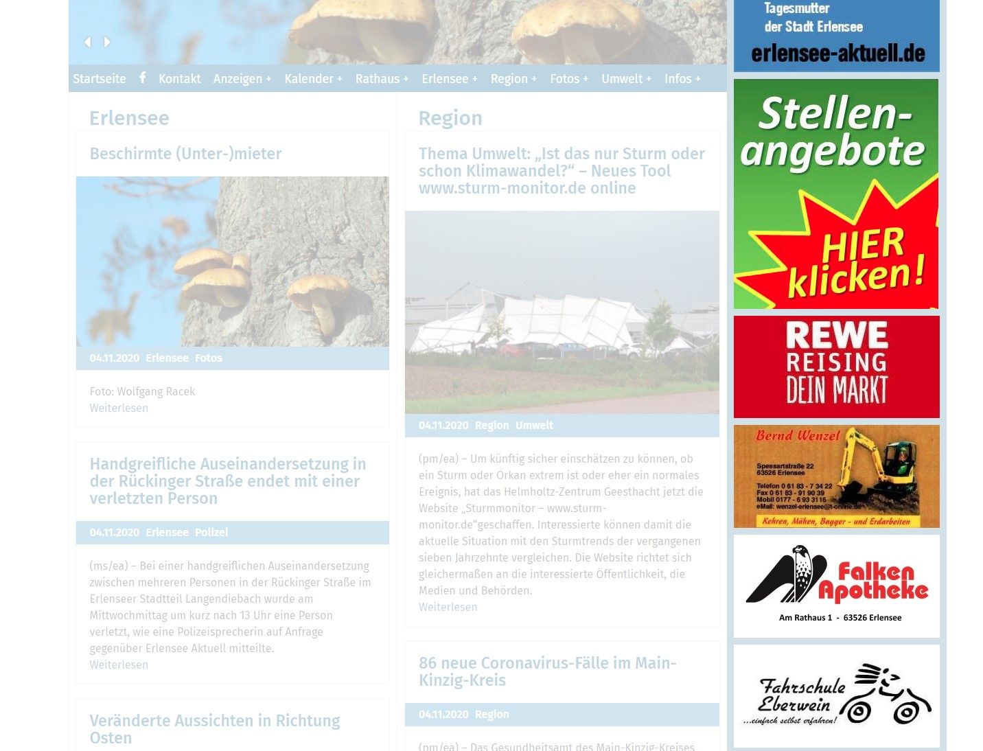 Different types of partner created banners in the sidebar of Erlensee Aktuell.