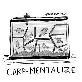 A fish tank is divided into sections, they are carp-mentalized