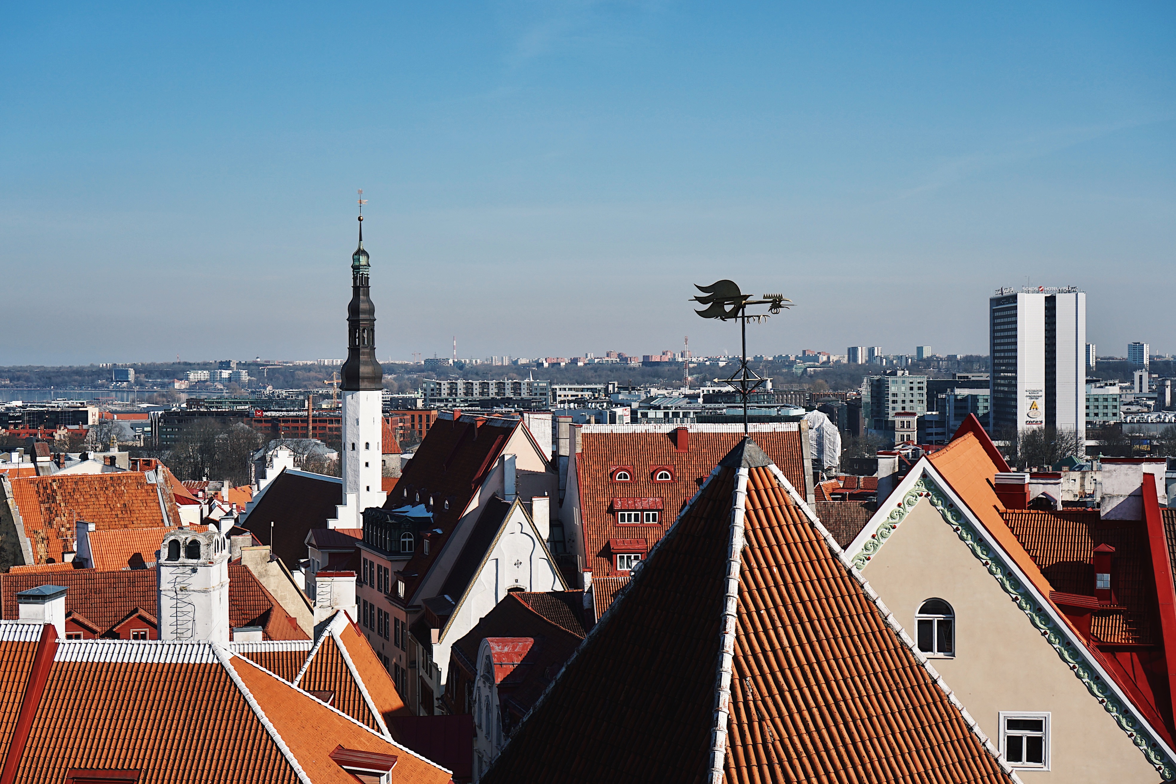 View of a lot of rooftops in Tallinn, Estonia