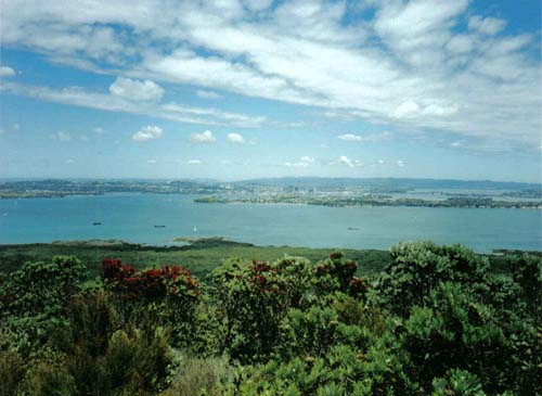 Auckland Rangitoto 2