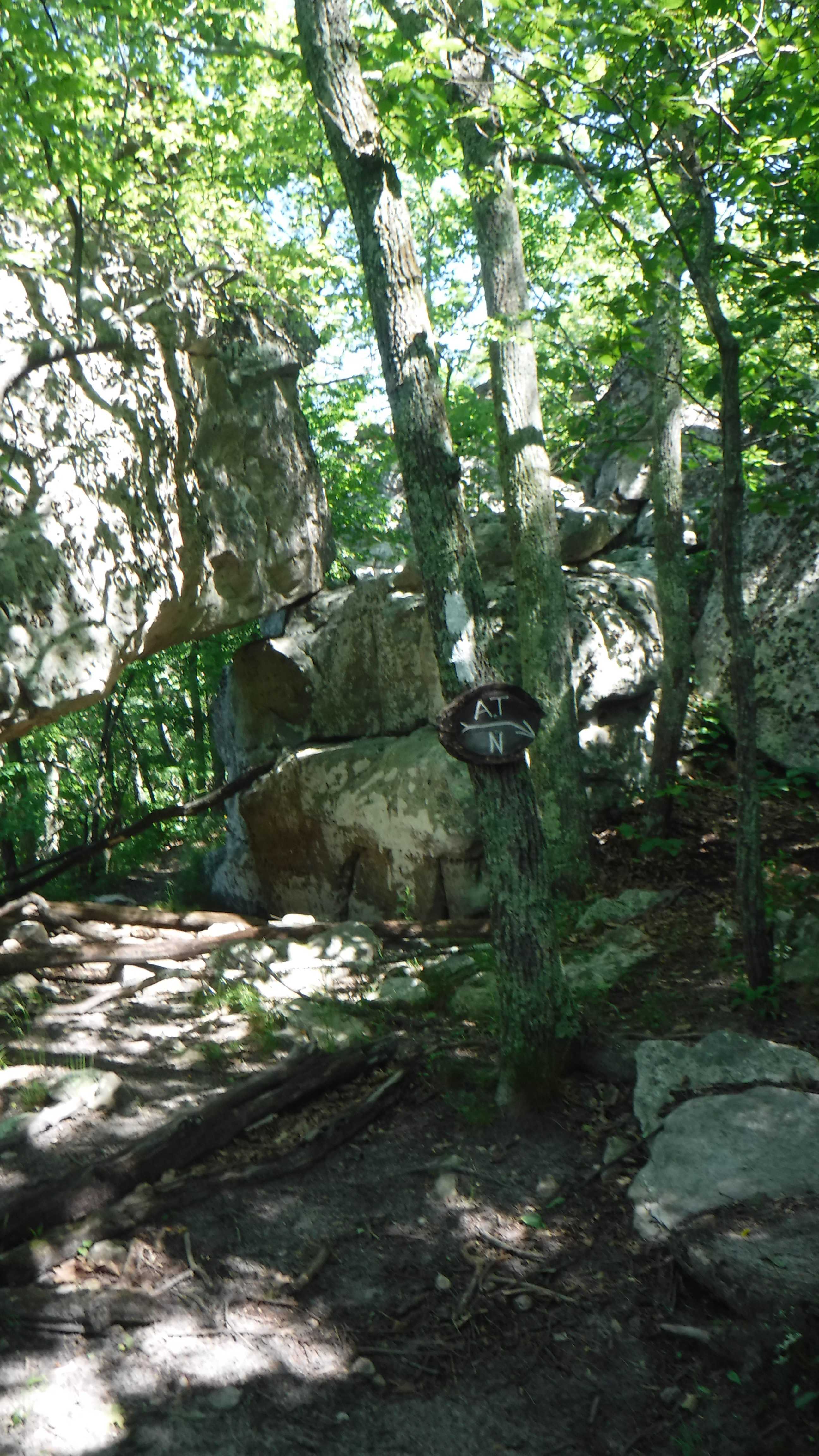 AT 2017 Day 57, Catawba Mountain Shelter to Daleville, Va. Hike with
