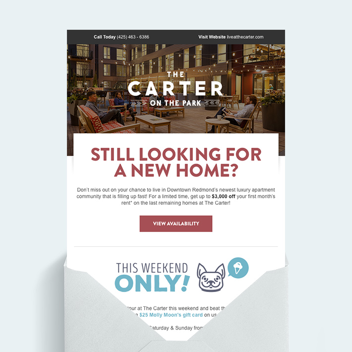 The Carter Poster Artwork