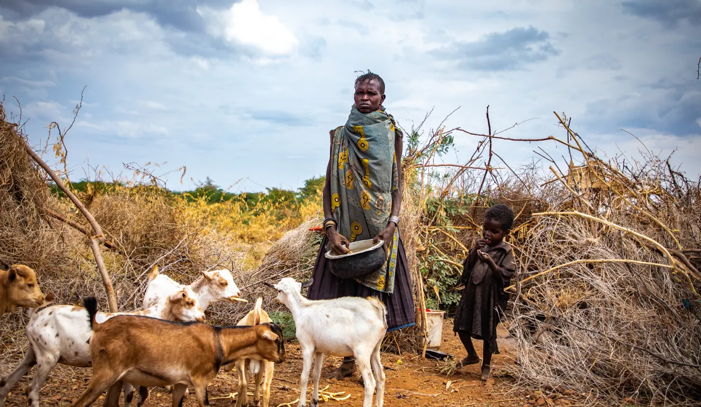 Woman with goat herd outside her home in Turkana, northern Kenya