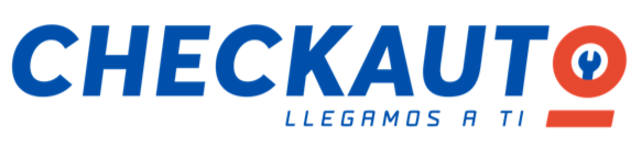Checkauto Startup logo
