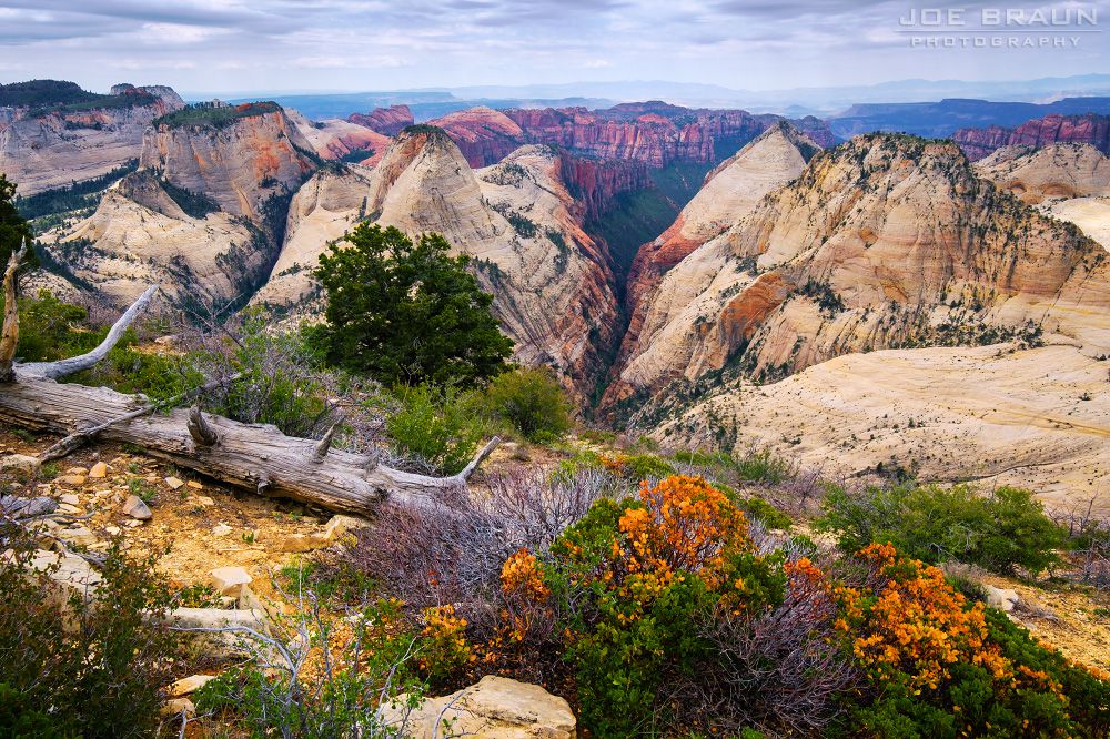 5 Best Places to camp near Zion National Park