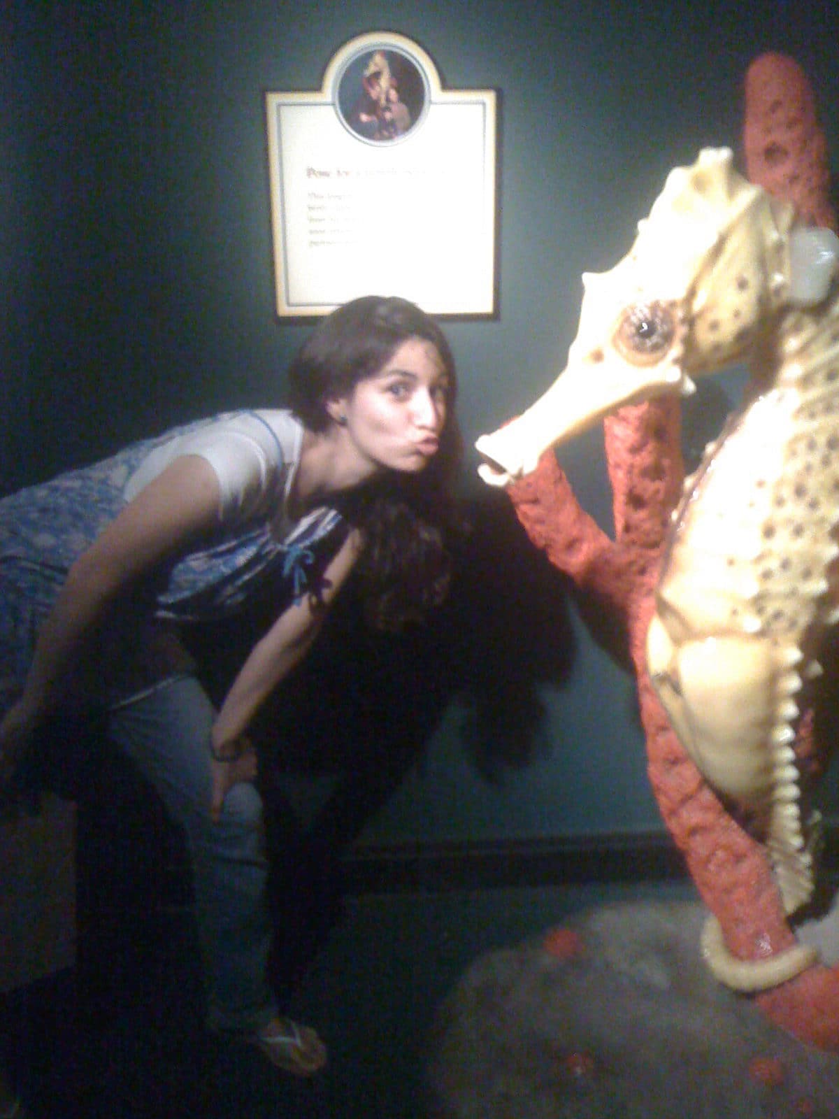 mariam getting too friendly with the sea horses