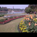 Burma Gardens 28