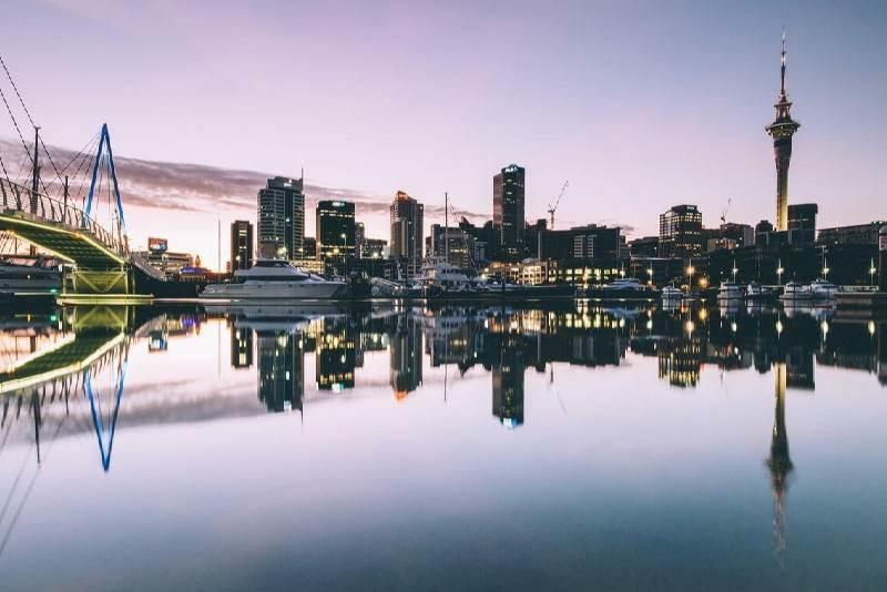 Legalisation of Marijuana in New Zealand