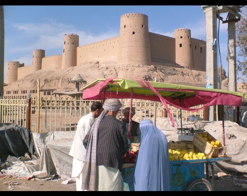 Herat citadel 2