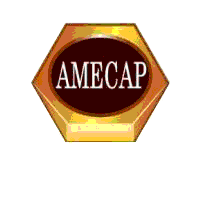 logo société AMECAP