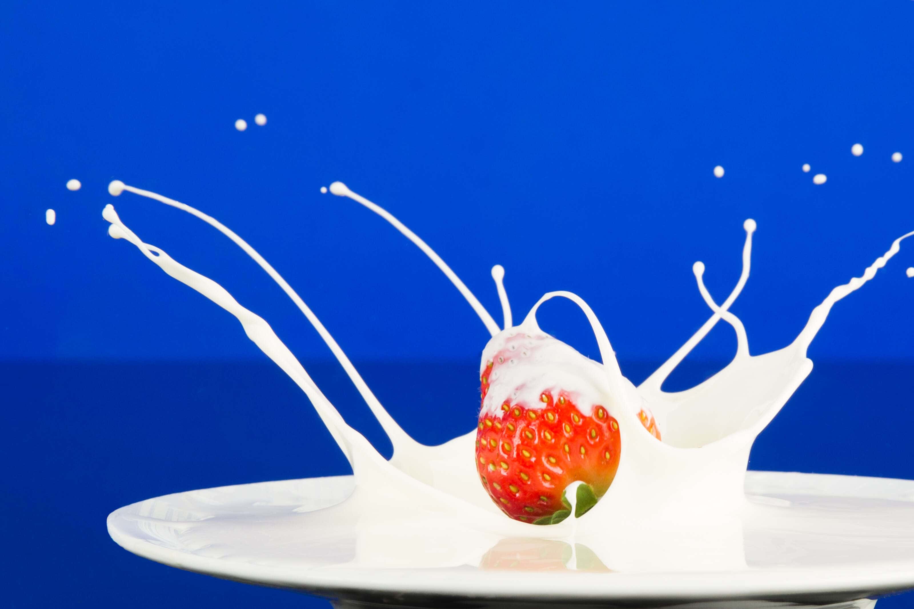strawberry splashing in cream on plate with blue background