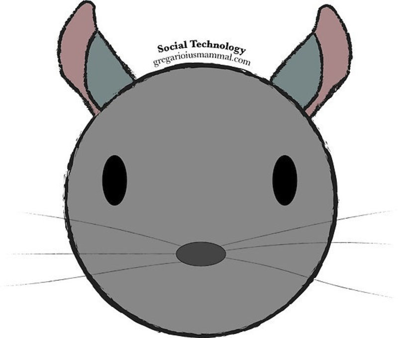 Social Technology