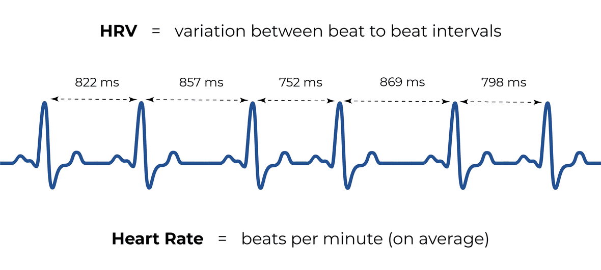 Heart Rate Variability (HRV) Is the Hype Justified? Nyxo