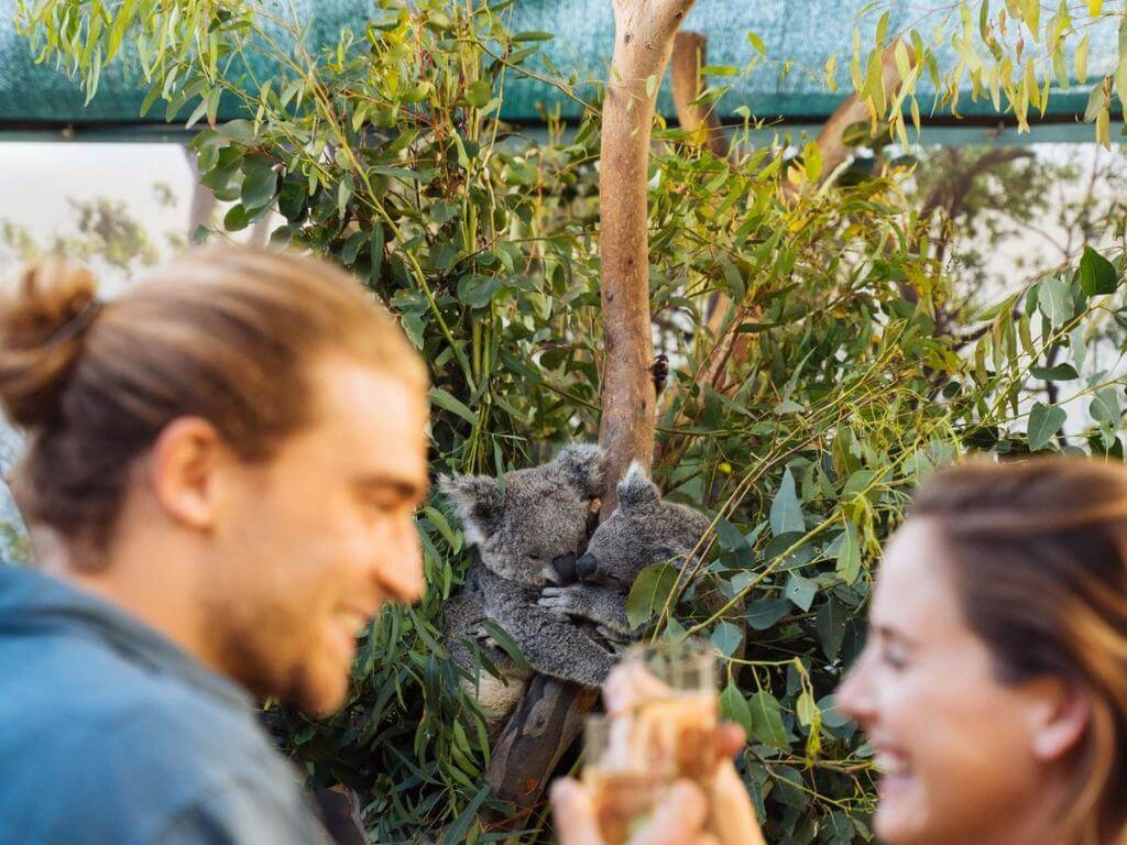 Champainting VIP Paint and Sip at Wildlife Sydney Zoo 2023 UpNext