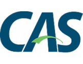 Central Authentication Service (CAS)