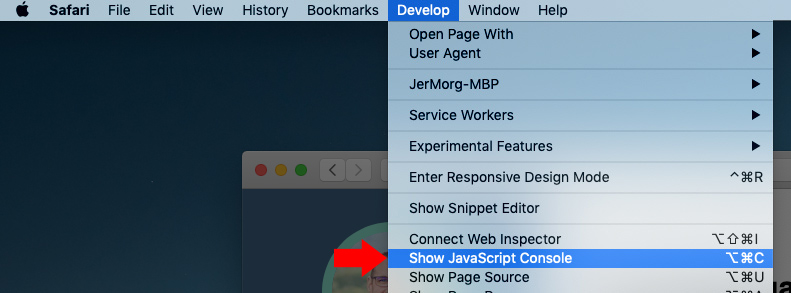 How to find browser developer console