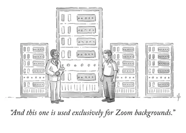 A cartoon-style illustration. Two people are having a conversation near several server racks. The rack in the middle is much larger than the others. The caption reads: And this one is used exclusively for Zoom backgrounds.