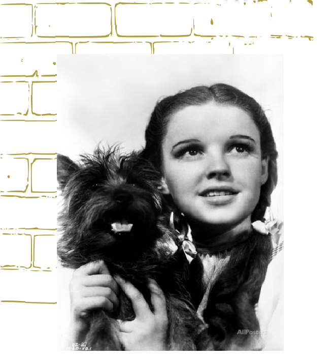 dorthy and toto