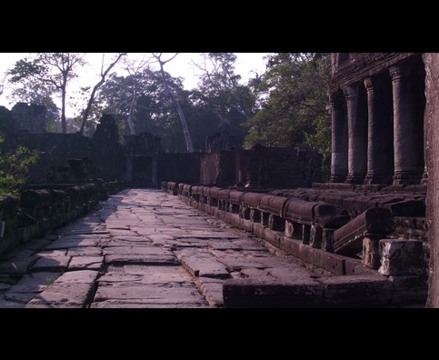 Cambodia Jungle Ruins 22