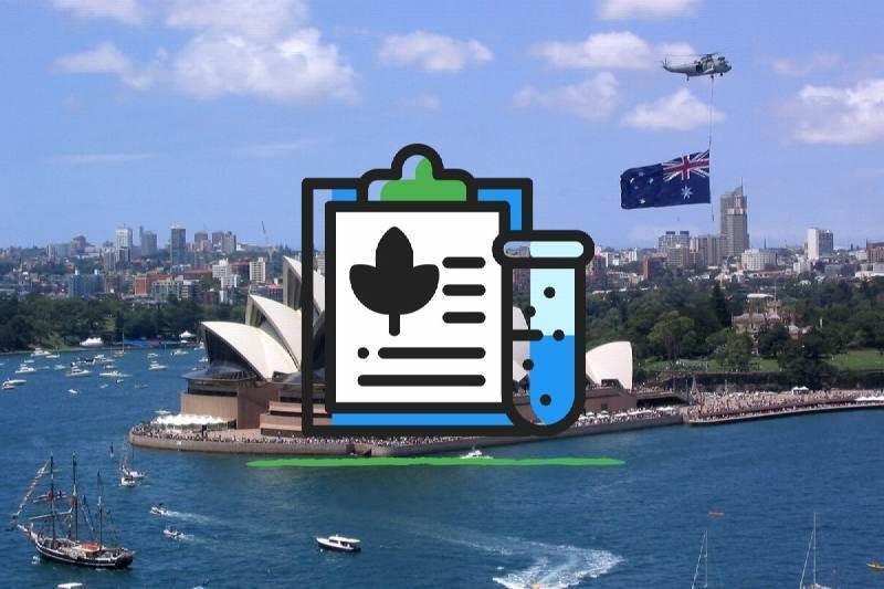 Australia's Trial of Recreational Cannabis