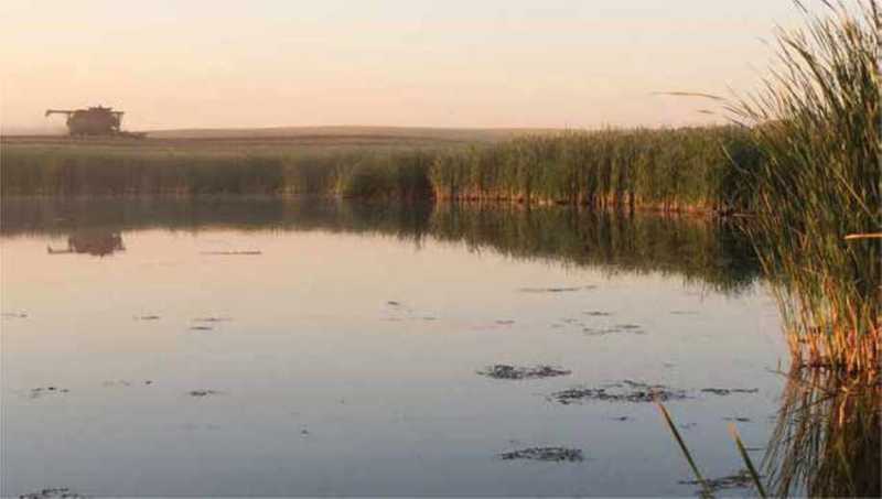 Saskatchewan marsh with a machine in the background Saskatchewan marsh with a machine in the background