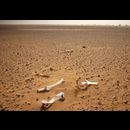 Sudan Desert Walk 2