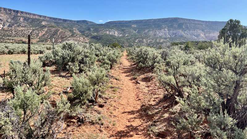 The trail goes straight across the desert