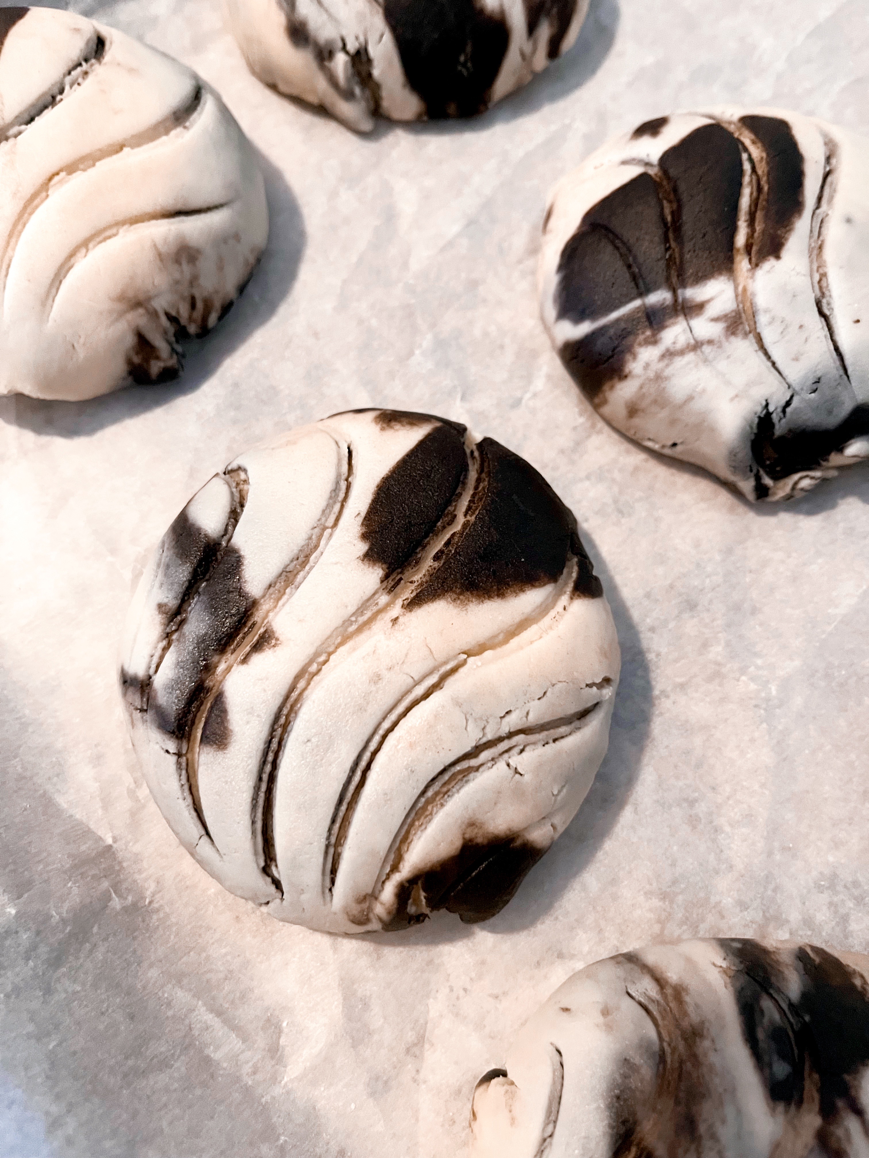 black and white conchas before baking