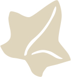 Lolita leaf