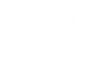 logo-google-reverse