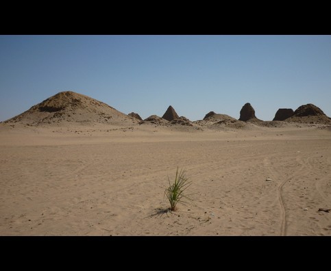 Sudan Nuri Pyramids 6