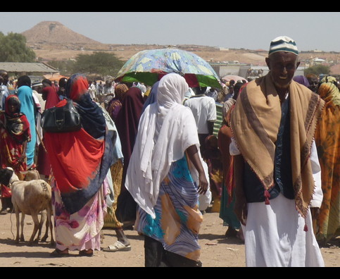 Somalia Animal Market 11