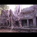 Cambodia Jungle Ruins 23